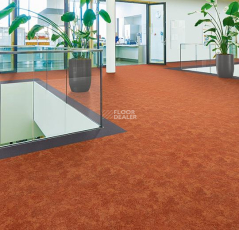 Flotex Colour Calgary 50*50 t 590005 Calgary Melon фото 2 | FLOORDEALER